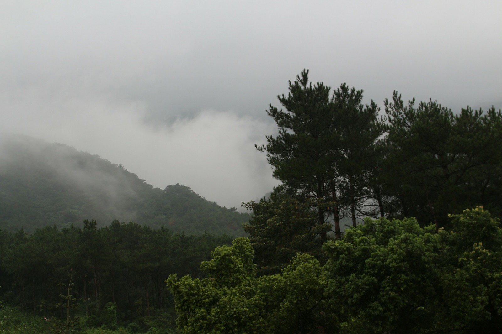 IMG_5151.jpg IMG_5151.jpg