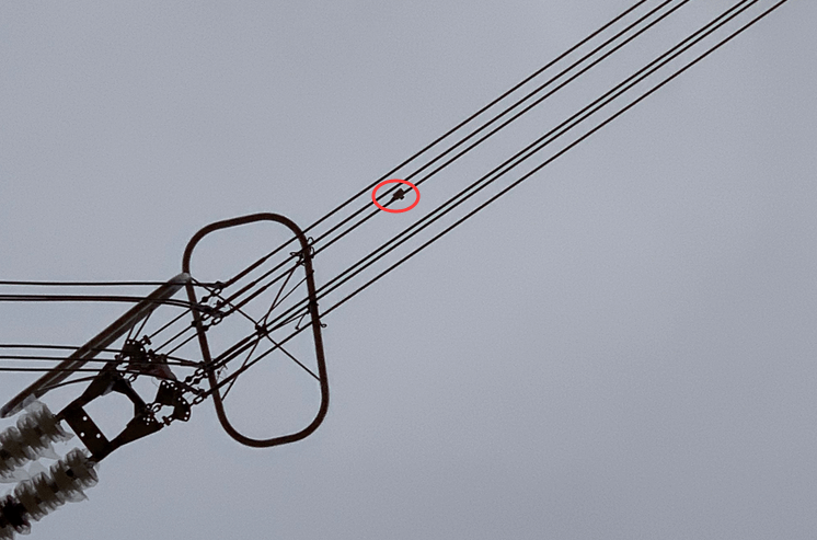 初心如磐,特力康高壓輸電線路導線溫度在線監測系統 初心如磐,特力康高壓輸電線路導線溫度在線監測系統